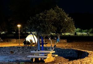 חניון לילה יהודיה
